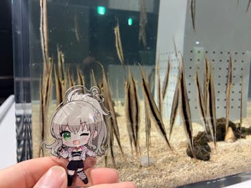 AOAO SAPPOROに投稿された画像（2023/11/5）