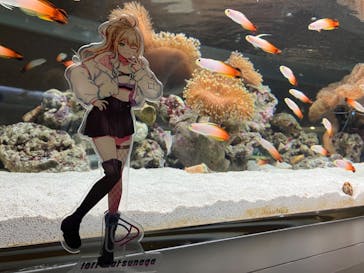 AOAO SAPPOROに投稿された画像（2023/11/5）