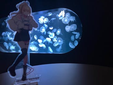 AOAO SAPPOROに投稿された画像（2023/11/5）