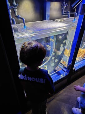 京都鉄道博物館×京都水族館に投稿された画像（2023/11/5）