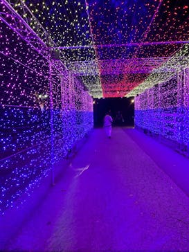 東武動物公園に投稿された画像（2023/11/5）