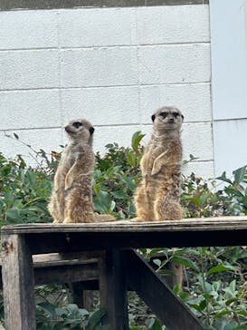 東武動物公園に投稿された画像（2023/11/5）