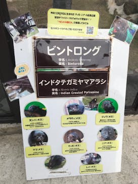 那須どうぶつ王国に投稿された画像（2023/11/5）