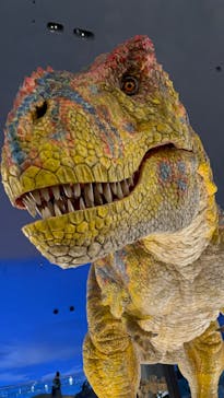福井県立恐竜博物館に投稿された画像（2023/11/5）