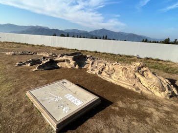 福井県立恐竜博物館に投稿された画像（2023/11/5）