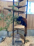 名古屋市東山動植物園に投稿された画像（2023/11/6）