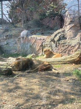 名古屋市東山動植物園に投稿された画像（2023/11/5）