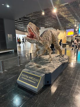 福井県立恐竜博物館に投稿された画像（2023/11/5）