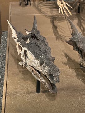 福井県立恐竜博物館に投稿された画像（2023/11/5）