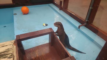 ゼロ距離水族館 伊勢シーパラダイスに投稿された画像（2023/11/5）