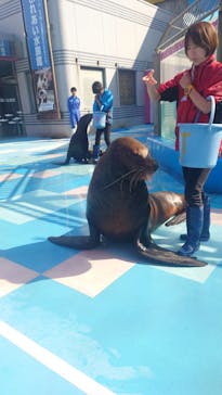 ゼロ距離水族館 伊勢シーパラダイスに投稿された画像（2023/11/5）