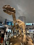 福井県立恐竜博物館に投稿された画像（2023/11/6）