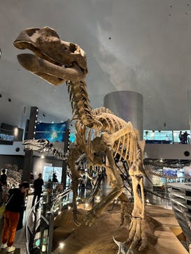 福井県立恐竜博物館に投稿された画像（2023/11/5）