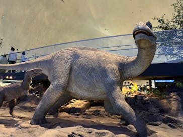 福井県立恐竜博物館に投稿された画像（2023/11/5）