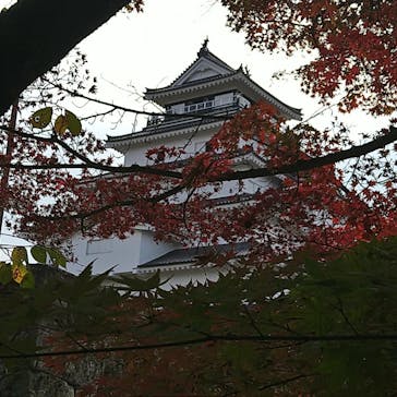 鶴ヶ城に投稿された画像（2023/11/5）