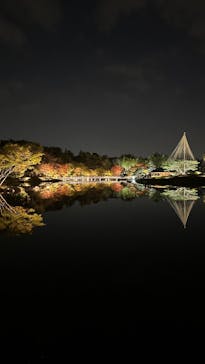 国営昭和記念公園 秋の夜散歩に投稿された画像（2023/11/5）