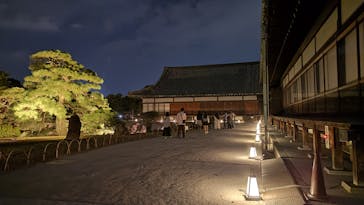 NAKED meets 二条城 2025 観月に投稿された画像（2023/11/5）