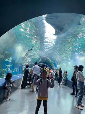 マクセル アクアパーク品川に投稿された画像（2023/11/5）