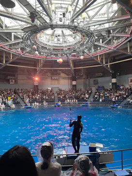 マクセル アクアパーク品川に投稿された画像（2023/11/5）