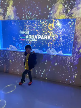 マクセル アクアパーク品川に投稿された画像（2023/11/5）