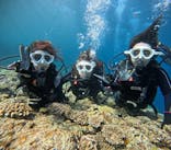 青の洞窟専門店　沖縄ダイビングショップ和に投稿された画像（2023/11/6）