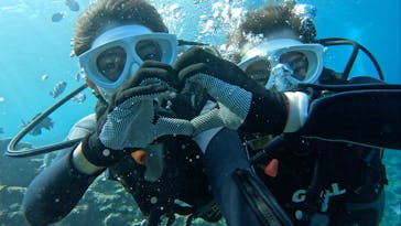 青の洞窟専門店　沖縄ダイビングショップ和に投稿された画像（2023/11/5）