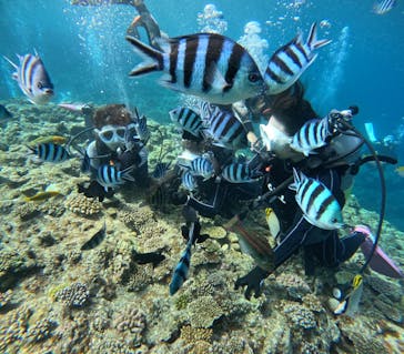 青の洞窟専門店　沖縄ダイビングショップ和に投稿された画像（2023/11/5）