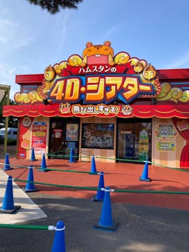 国営ひたち海浜公園プレジャーガーデンに投稿された画像（2023/11/6）