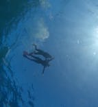 青の洞窟専門店　沖縄ダイビングショップ和に投稿された画像（2023/11/6）