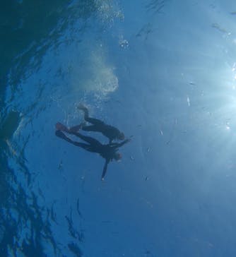 青の洞窟専門店　沖縄ダイビングショップ和に投稿された画像（2023/11/6）