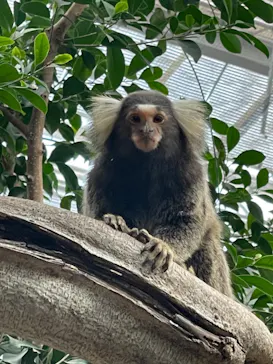 神戸どうぶつ王国に投稿された画像（2023/11/4）