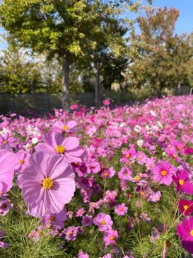 神戸どうぶつ王国に投稿された画像（2023/11/4）
