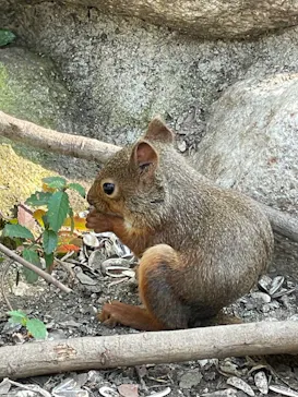 神戸どうぶつ王国に投稿された画像（2023/11/4）