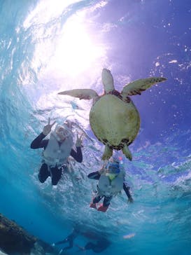 宮古島マリン GB QUESTに投稿された画像（2023/11/6）