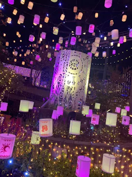 ひらかたパークに投稿された画像（2023/11/6）