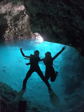 武藤潜水に投稿された画像（2023/11/6）