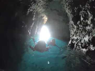 武藤潜水に投稿された画像（2023/11/6）