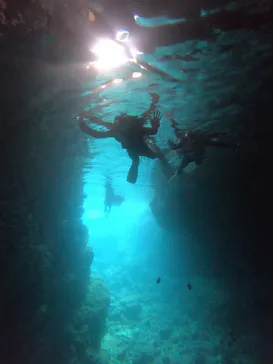 武藤潜水に投稿された画像（2023/11/6）