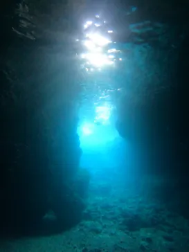 武藤潜水に投稿された画像（2023/11/6）