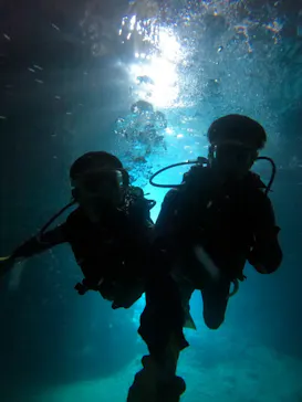 武藤潜水に投稿された画像（2023/11/6）