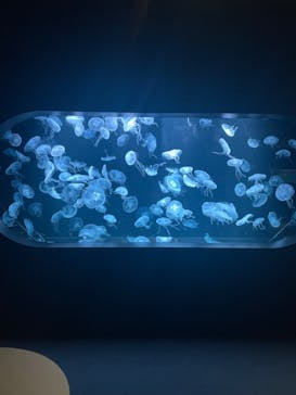 AOAO SAPPOROに投稿された画像（2023/11/6）