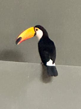 カワスイ 川崎⽔族館に投稿された画像（2023/11/6）