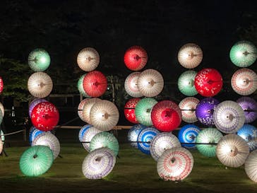 国営昭和記念公園 秋の夜散歩に投稿された画像（2023/11/6）