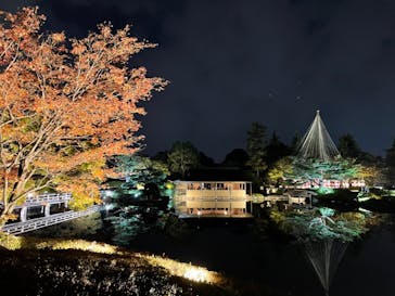 国営昭和記念公園 秋の夜散歩に投稿された画像（2023/11/6）