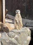 伊豆シャボテン動物公園に投稿された画像（2023/11/6）