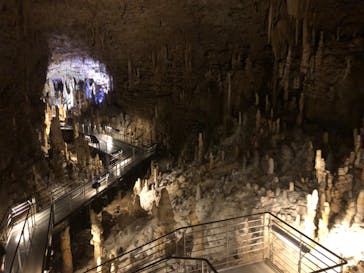 おきなわワールドに投稿された画像（2023/11/6）