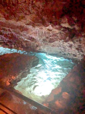 おきなわワールドに投稿された画像（2023/11/6）