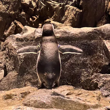 すみだ水族館に投稿された画像（2023/11/6）