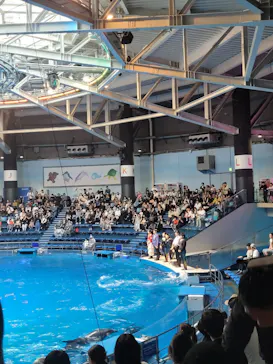 マクセル アクアパーク品川に投稿された画像（2023/11/5）