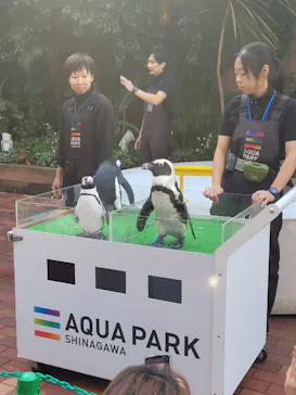 マクセル アクアパーク品川に投稿された画像（2023/11/5）